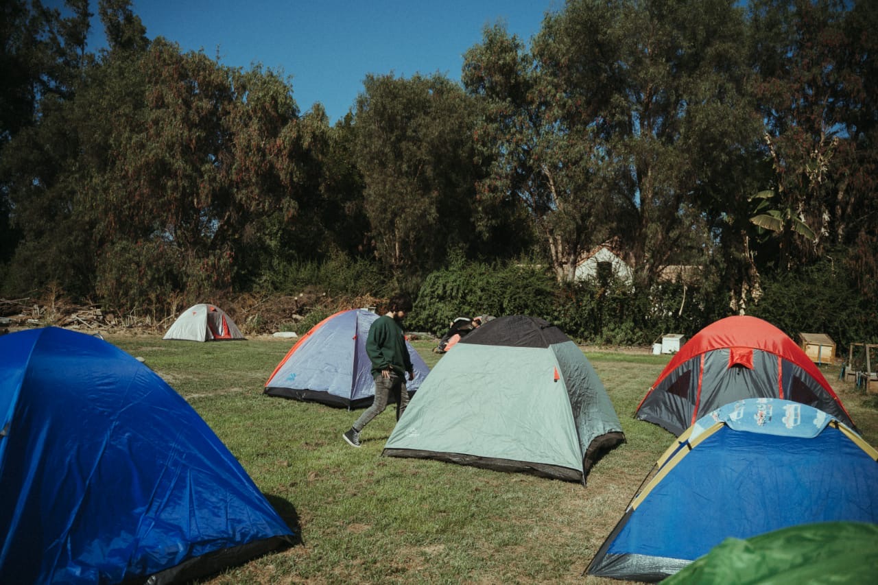 Carpas campo
